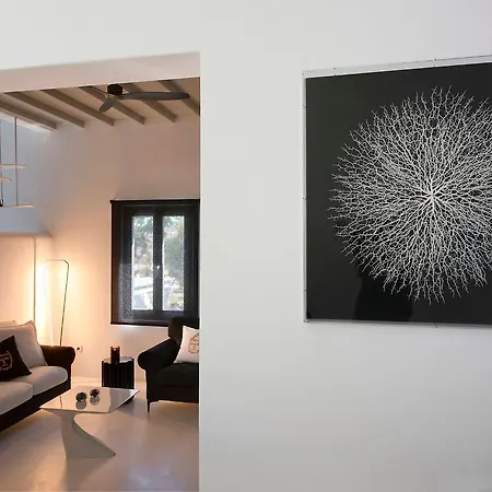 Amalgam Homes Mykonos فيلة *